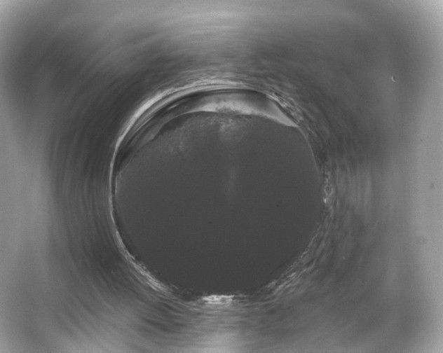 X0000066090052200603131214