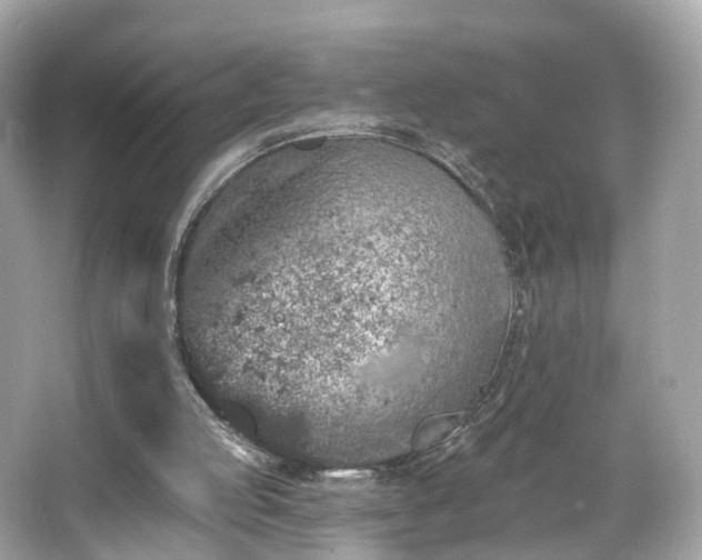 X0000066090053200603131214