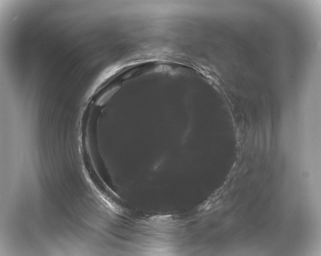 X0000066090054200603131214