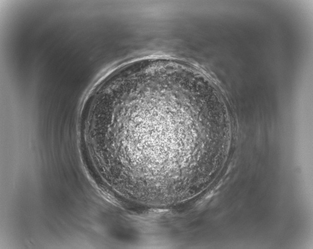 X0000066090055200603131214