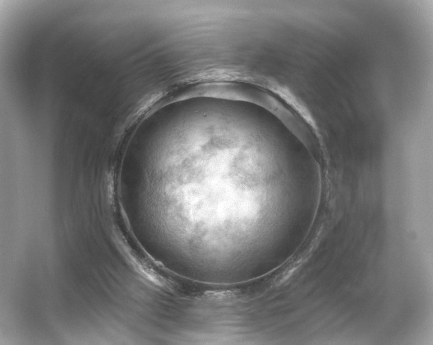 X0000066090057200603131214