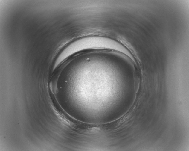 X0000066090058200603131214