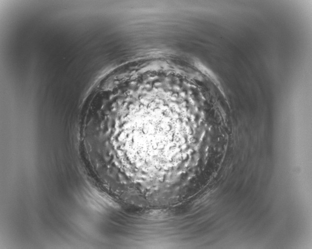 X0000066090059200603131214