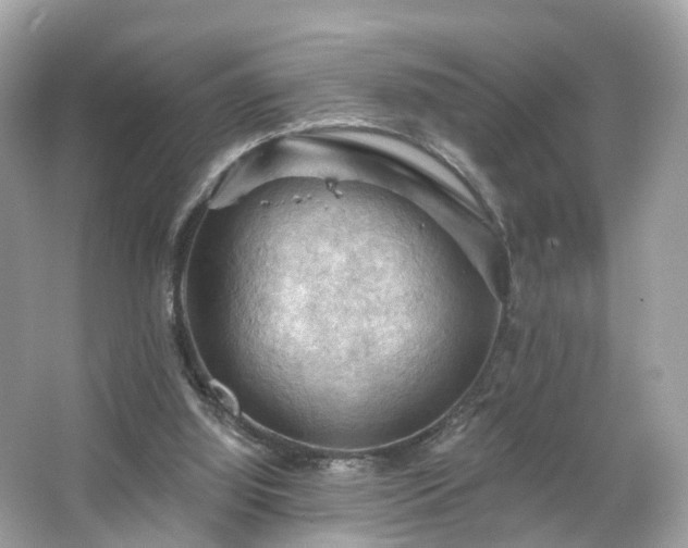 X0000066090060200603131214