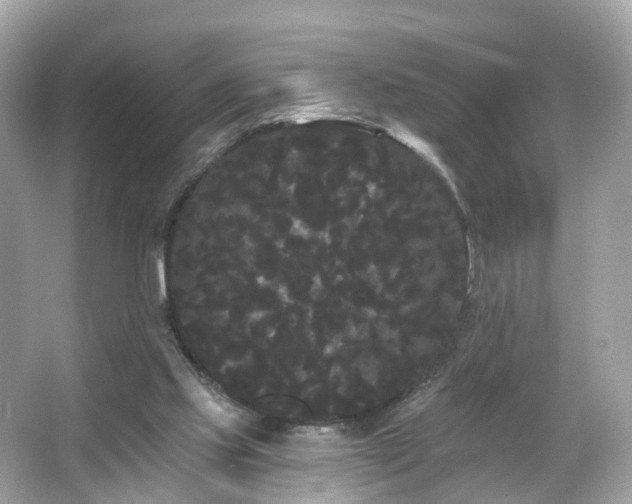 X0000066090061200603131214