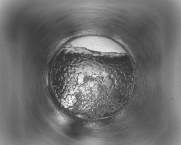 X0000066090062200603131214