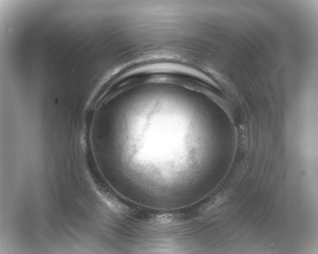 X0000066090064200603131214