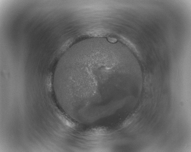 X0000066090065200603131214