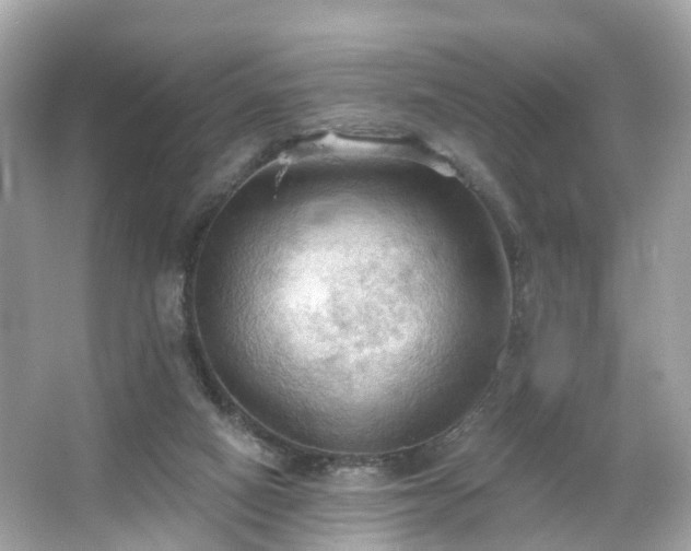 X0000066090066200603131214