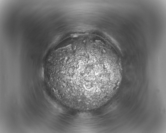 X0000066090067200603131214