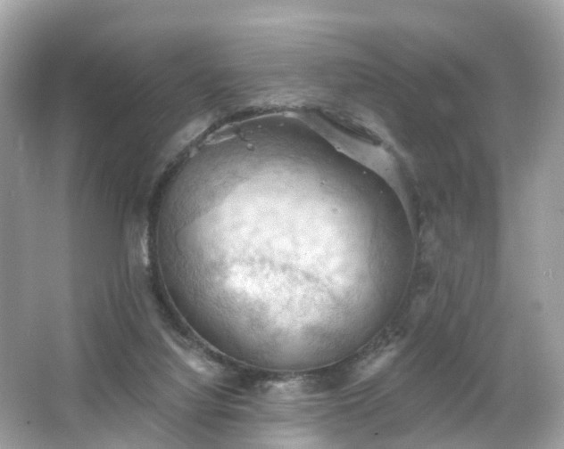 X0000066090068200603131214