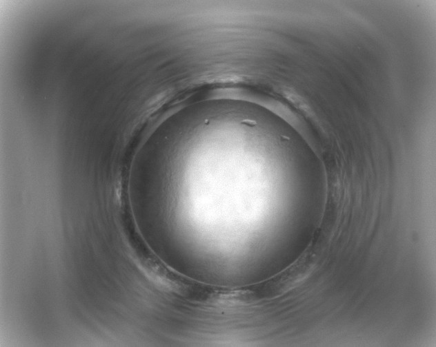 X0000066090072200603131215