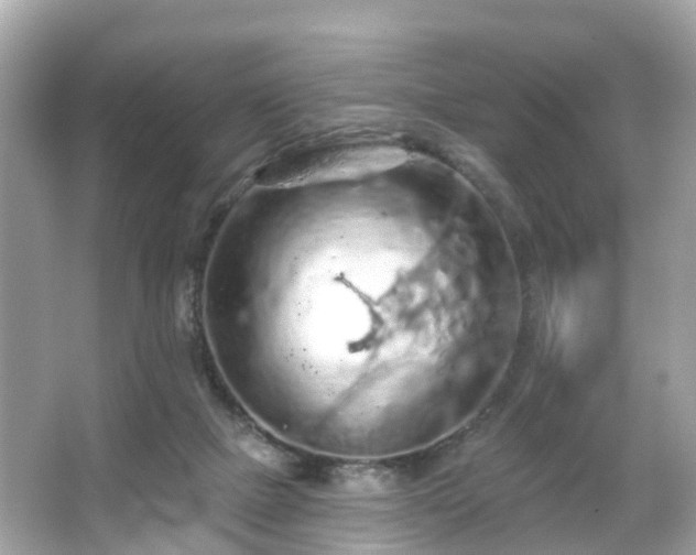 X0000066090073200603131215