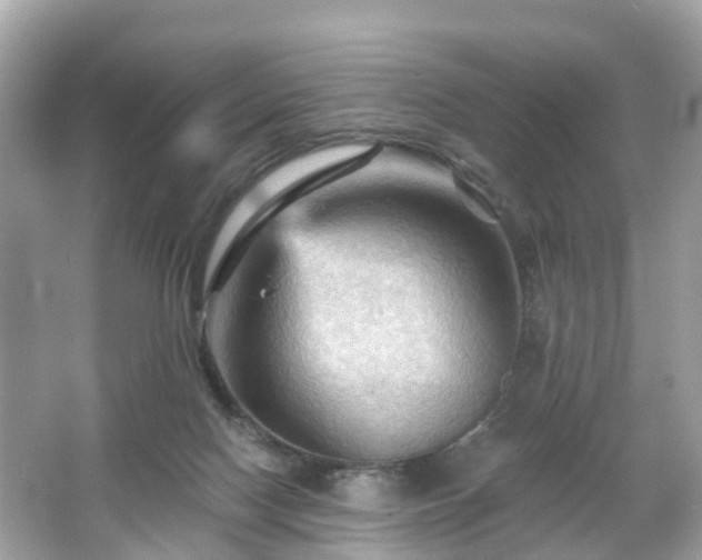 X0000066090074200603131215