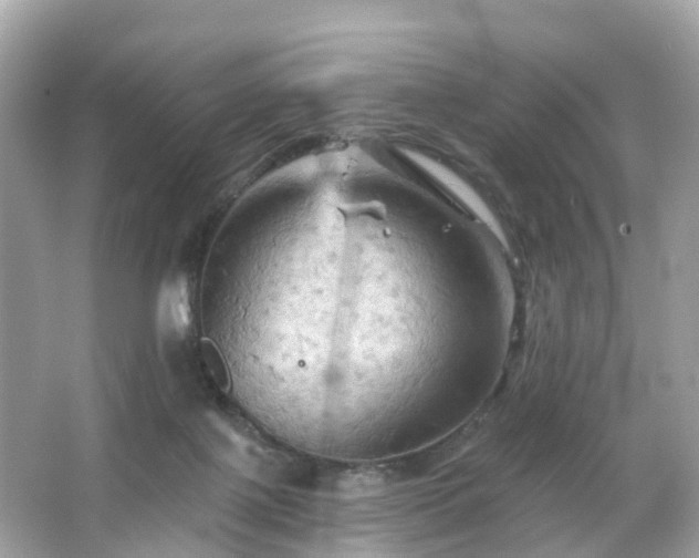 X0000066090075200603131215