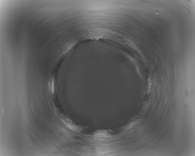 X0000066090076200603131215