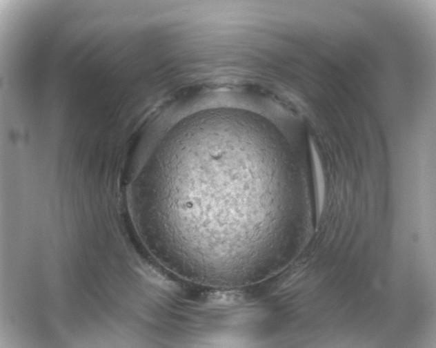 X0000066090077200603131215