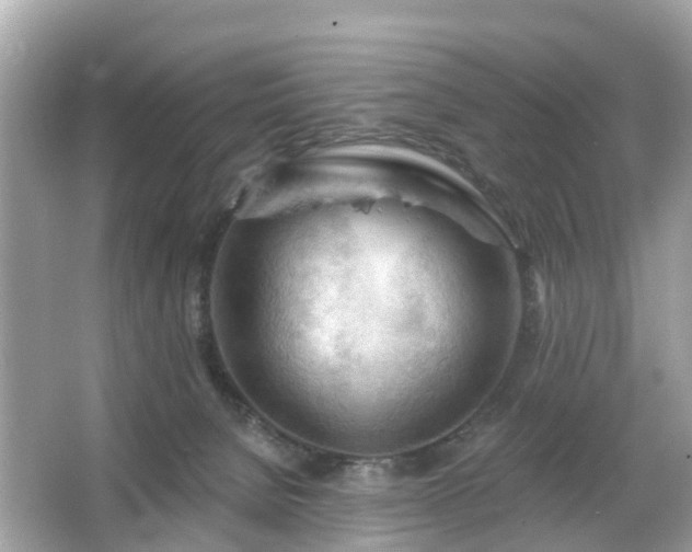 X0000066090080200603131215