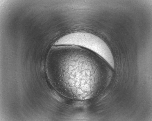 X0000066090081200603131215