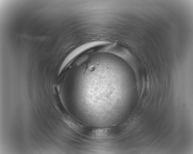 X0000066090084200603131215