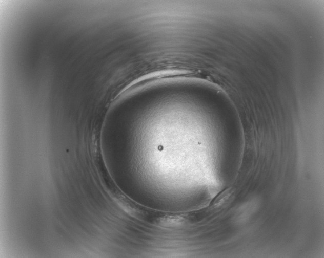 X0000066090086200603131215