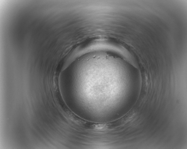 X0000066090088200603131215