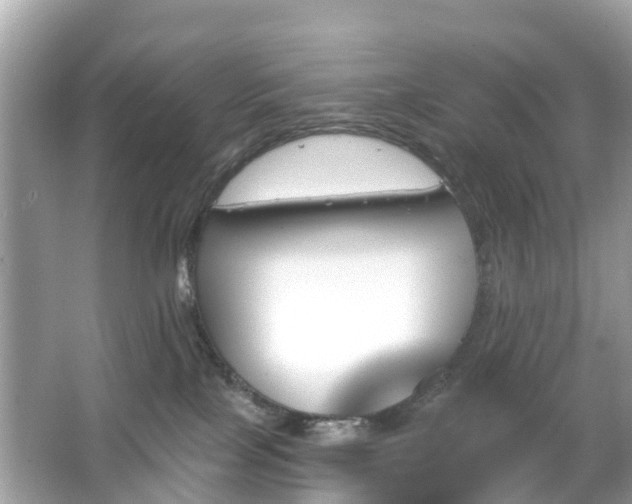 X0000066090089200603131215