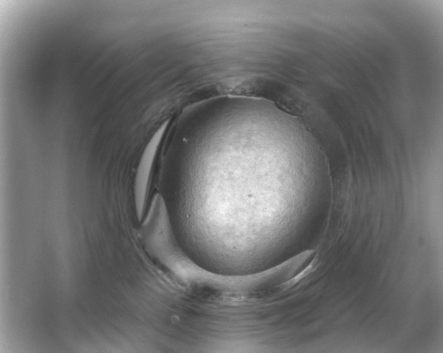 X0000066090090200603131215