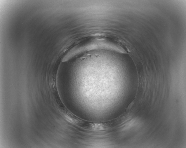 X0000066090091200603131215