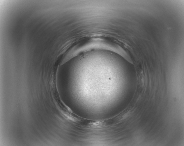 X0000066090092200603131215