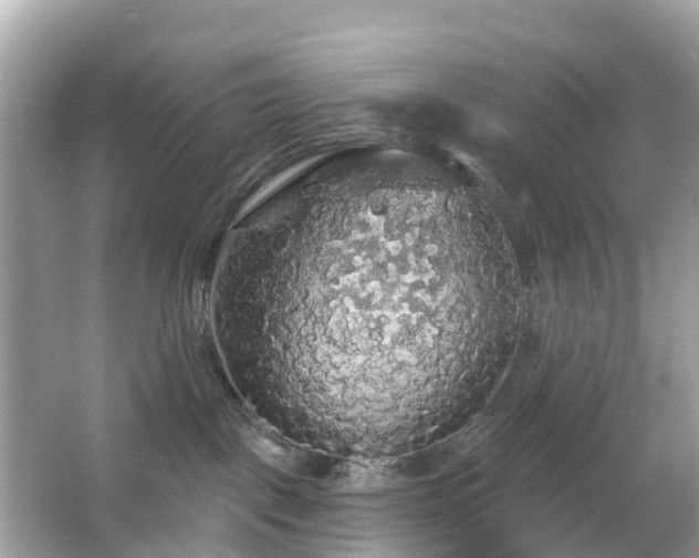 X0000066090093200603131215