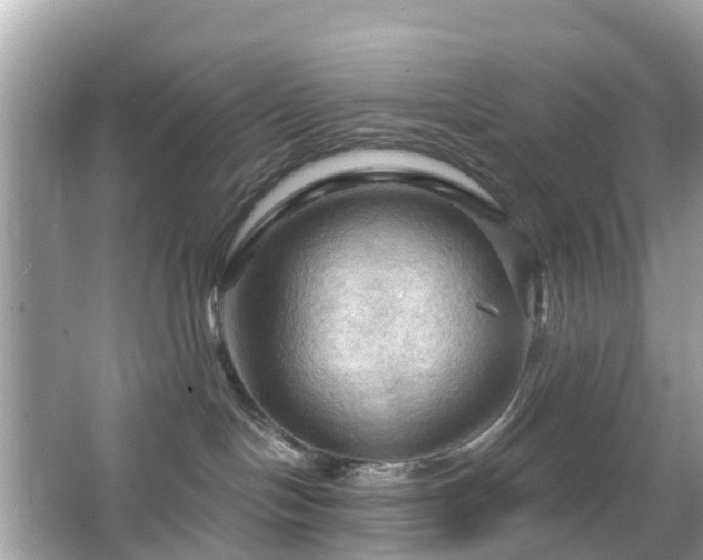 X0000066090094200603131215