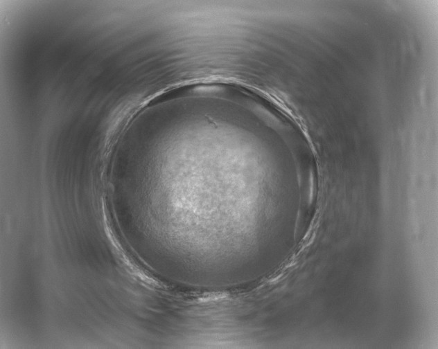 X0000066090097200603131214