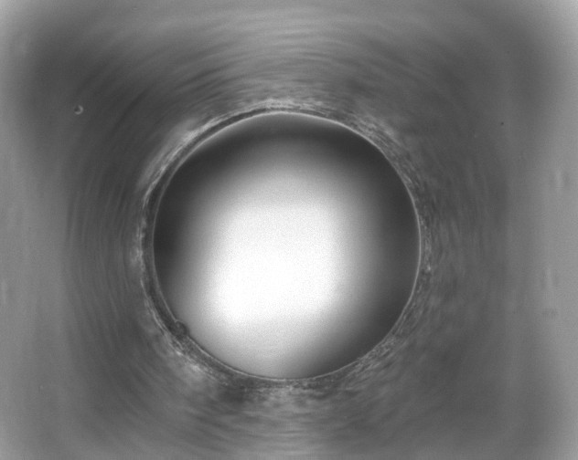 X0000066090098200603131214