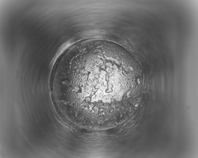 X0000066090099200603131214