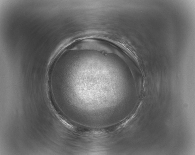 X0000066090101200603131214