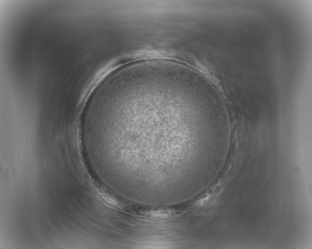 X0000066090103200603131214