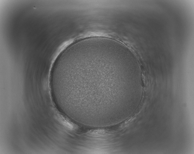 X0000066090104200603131214