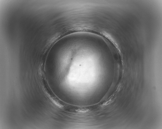 X0000066090105200603131214