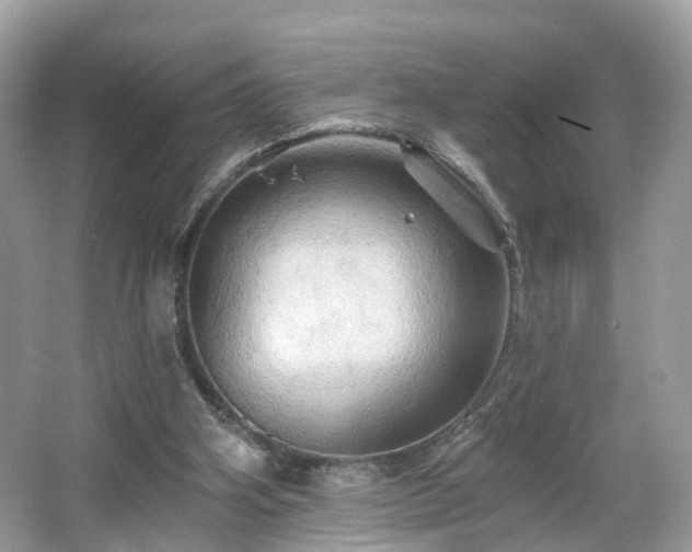 X0000066090106200603131214