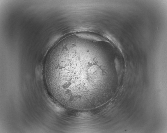 X0000066090107200603131214