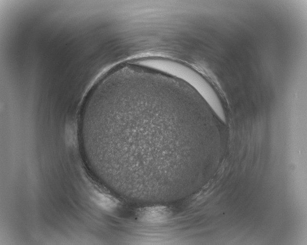 X0000066090108200603131214