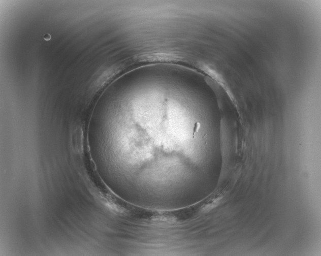 X0000066090109200603131214