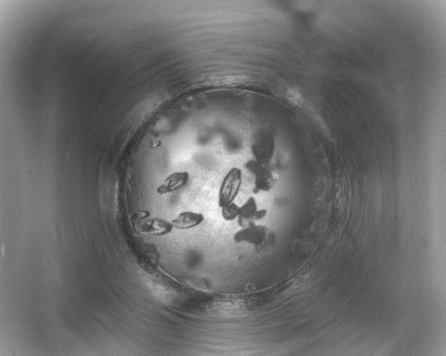 X0000066090110200603131214