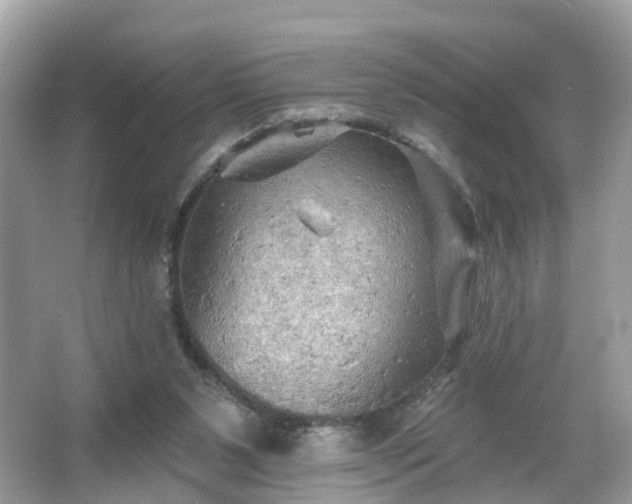 X0000066090111200603131214