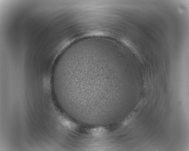 X0000066090112200603131214