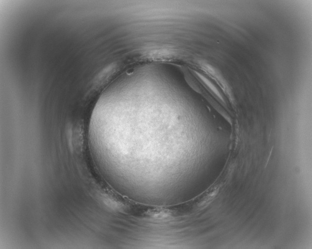 X0000066090113200603131214