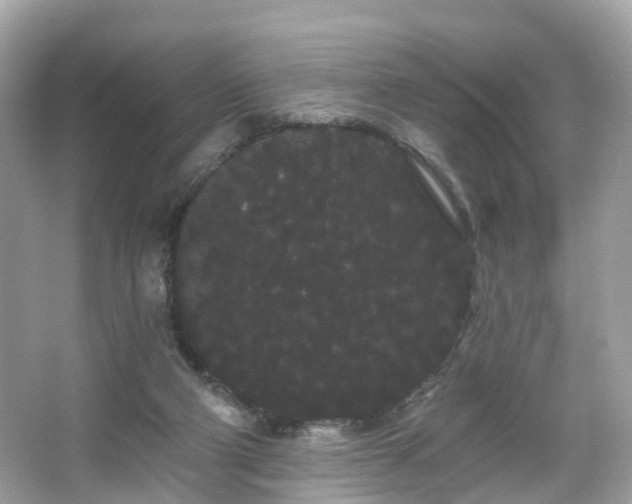 X0000066090114200603131214