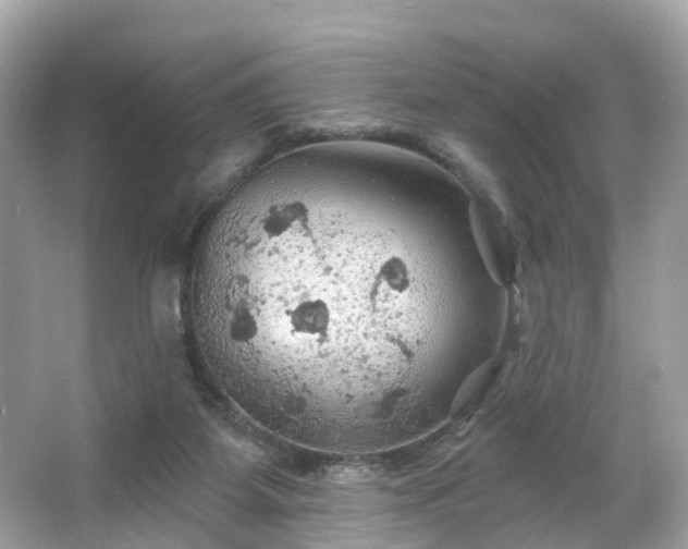 X0000066090115200603131214