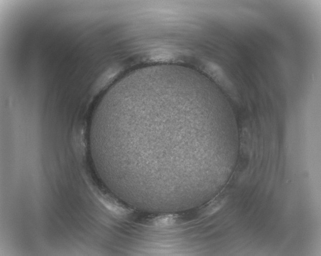 X0000066090116200603131214